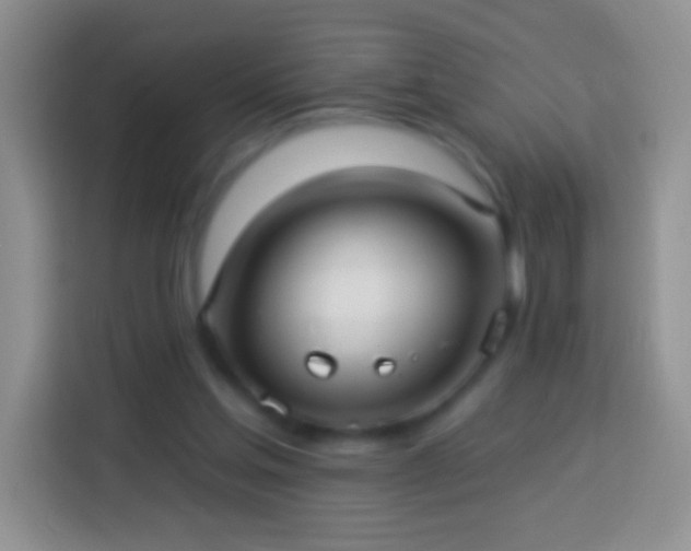 X0000113880205200910011139