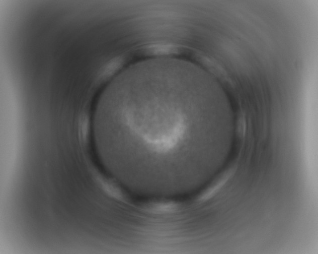 X0000113880206200910011139