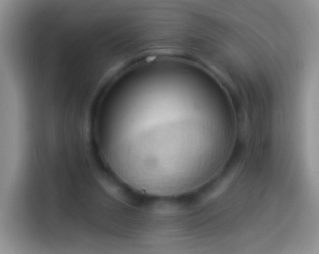 X0000113880207200910011139