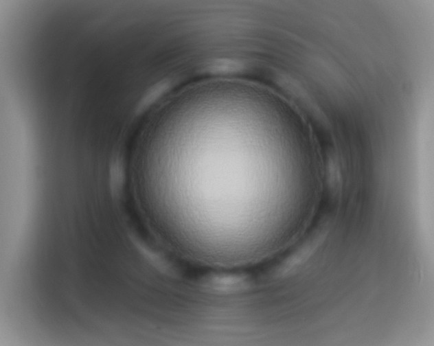 X0000113880208200910011139