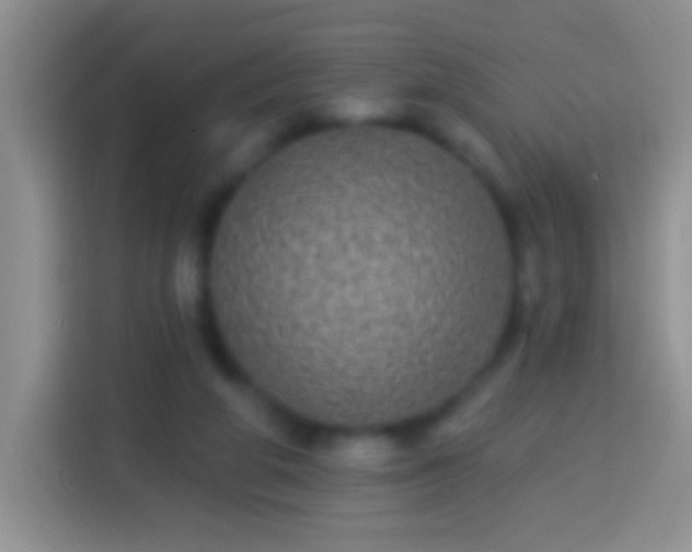 X0000113880210200910011139