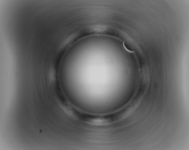 X0000113880212200910011139