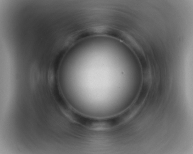 X0000113880213200910011139