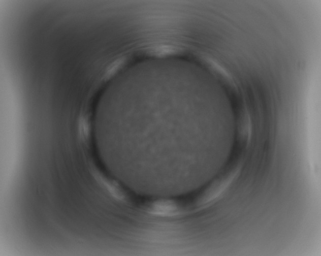 X0000113880214200910011139