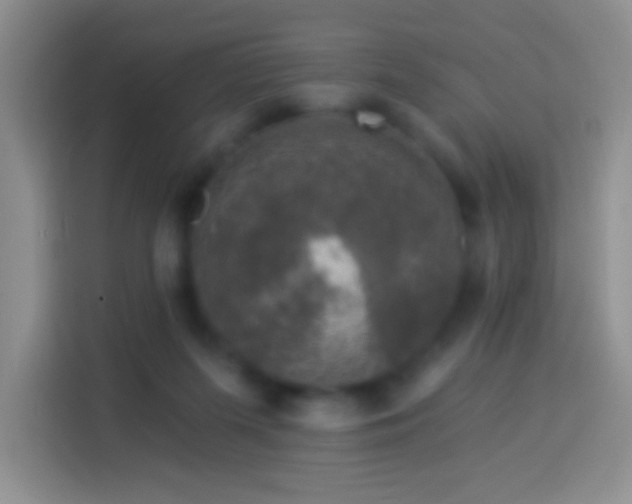 X0000113880215200910011139