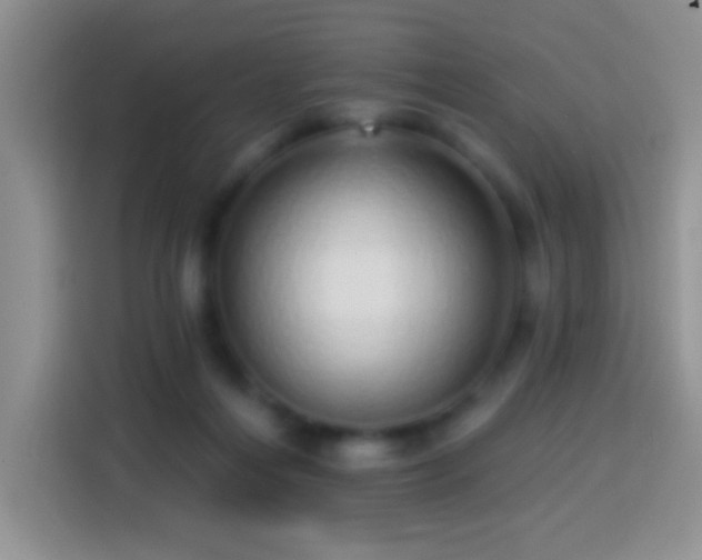 X0000113880216200910011139