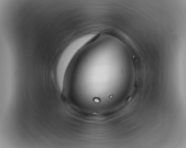 X0000113880217200910011139