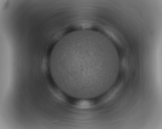 X0000113880218200910011139