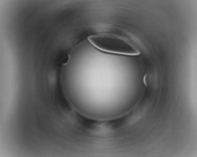 X0000113880221200910011139