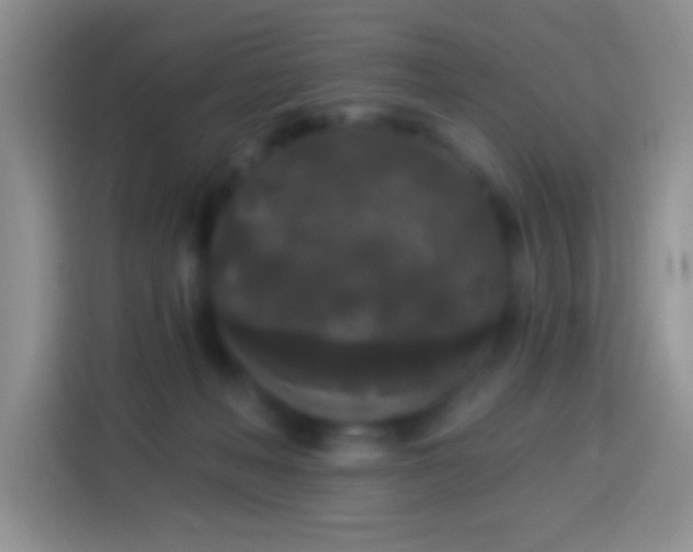 X0000113880222200910011139