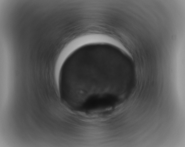 X0000113880223200910011139