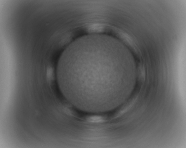 X0000113880224200910011139