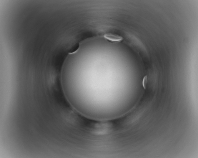 X0000113880225200910011139