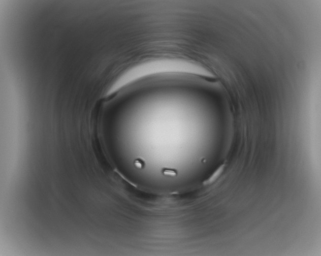 X0000113880227200910011139