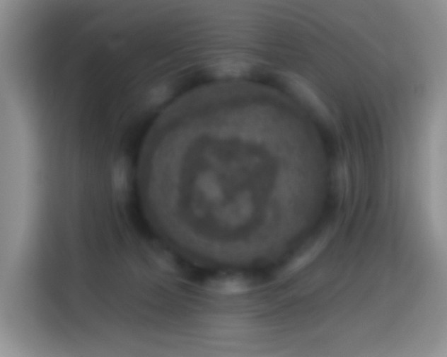 X0000113880228200910011139