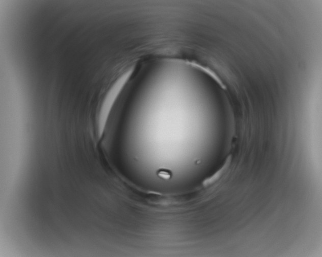 X0000113880229200910011139