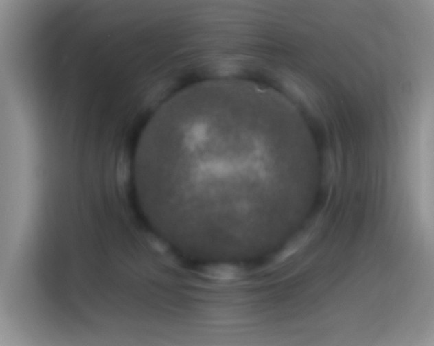 X0000113880230200910011139