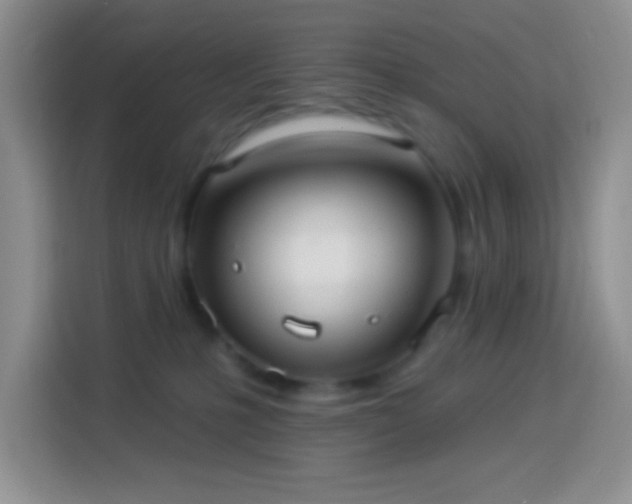 X0000113880231200910011139