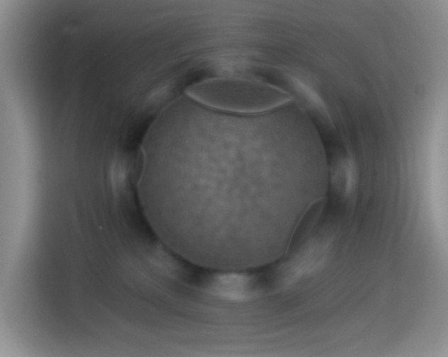 X0000113880233200910011139