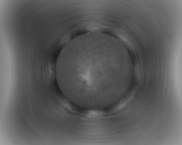 X0000113880234200910011139