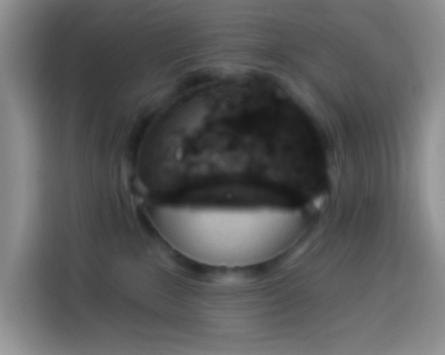 X0000113880235200910011139