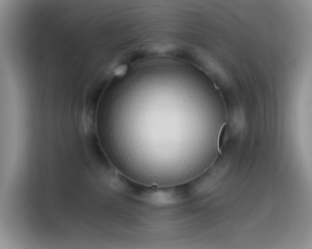 X0000113880236200910011139