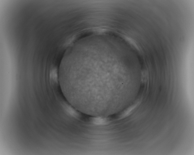 X0000113880238200910011138