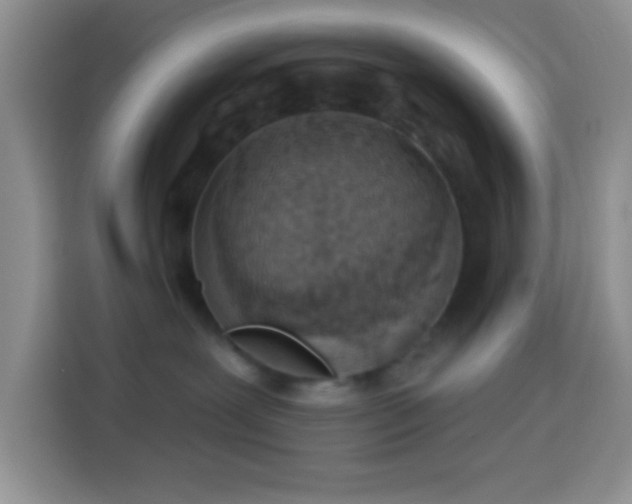 X0000113880239200910011138