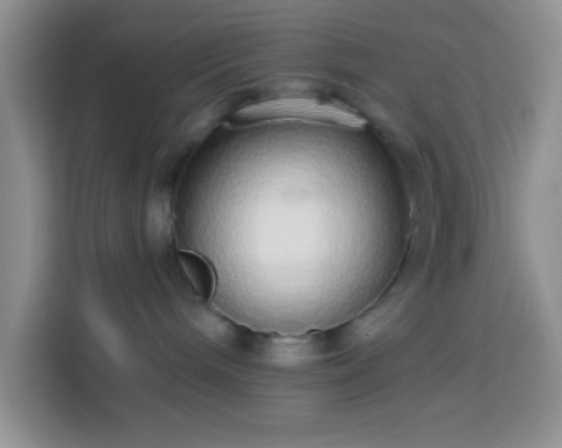 X0000113880240200910011138