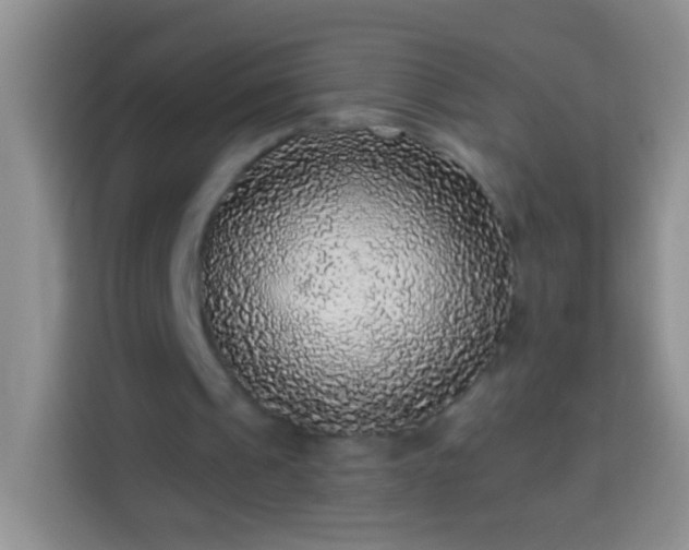 X0000113880241200910011138