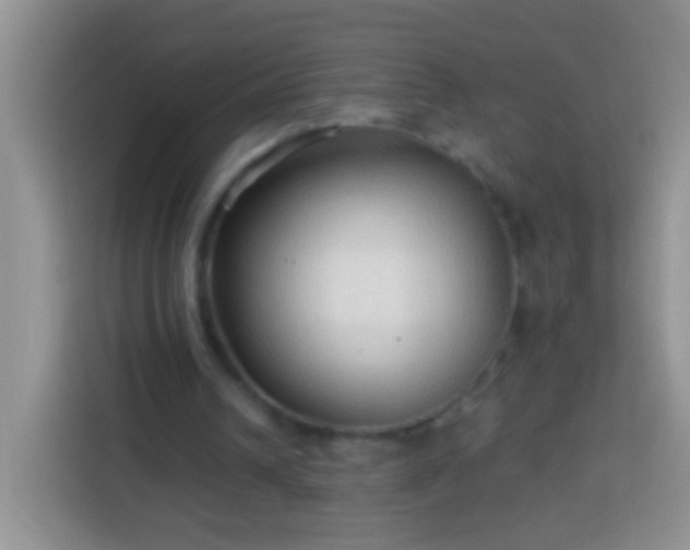 X0000113880242200910011138