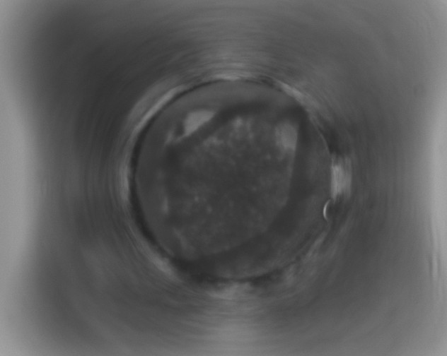 X0000113880243200910011138