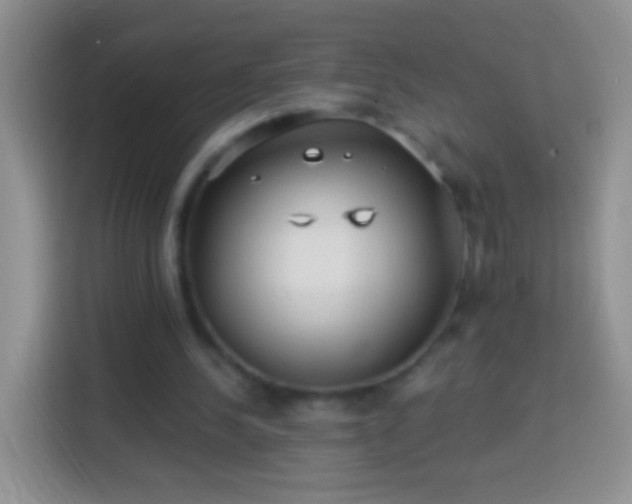 X0000113880244200910011138