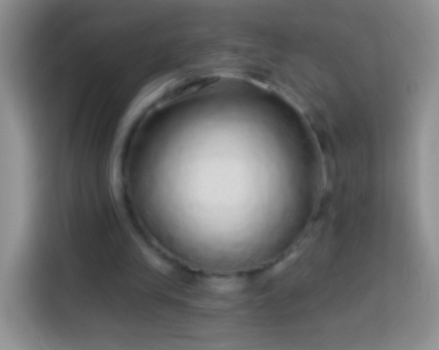 X0000113880245200910011138