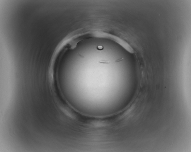 X0000113880246200910011138