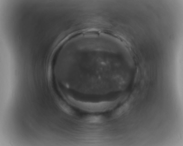 X0000113880247200910011138