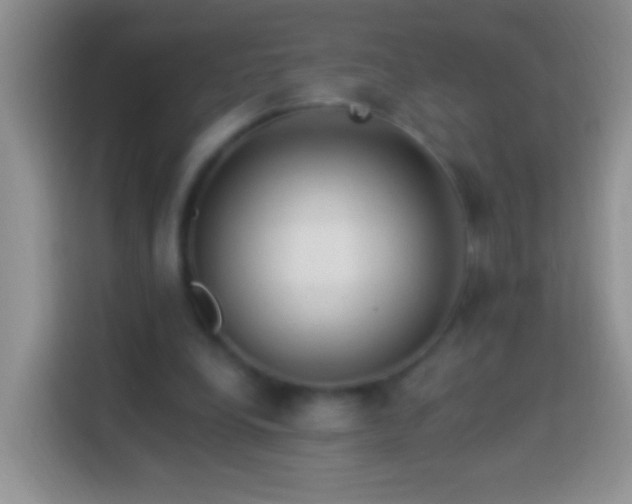 X0000113880248200910011138