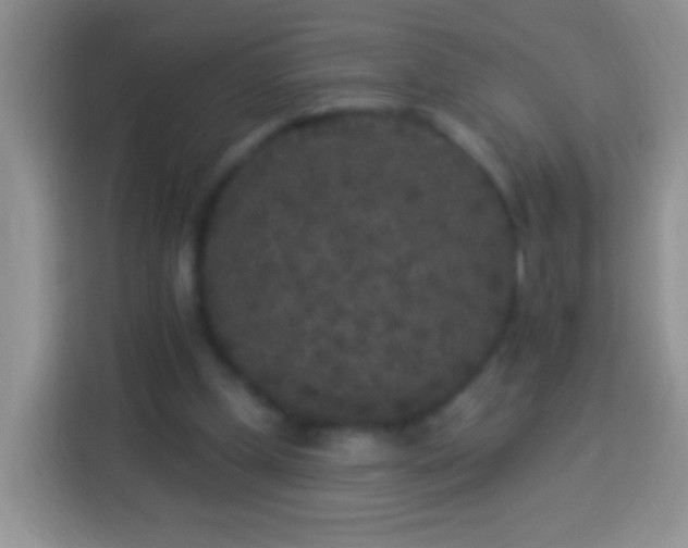 X0000113880249200910011138