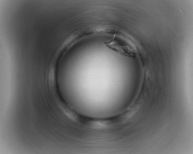 X0000113880250200910011138