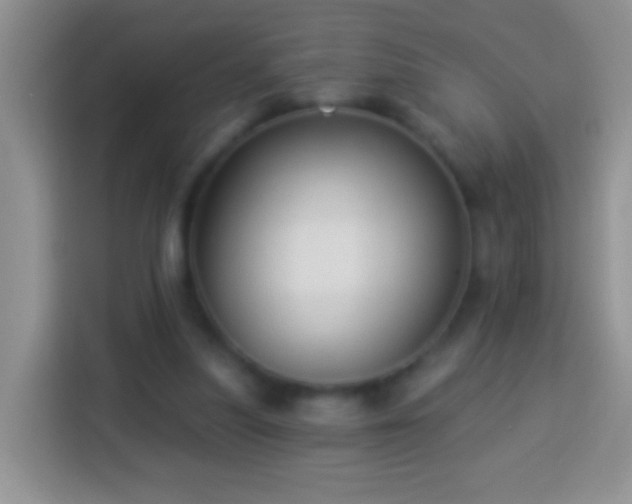 X0000113880251200910011138