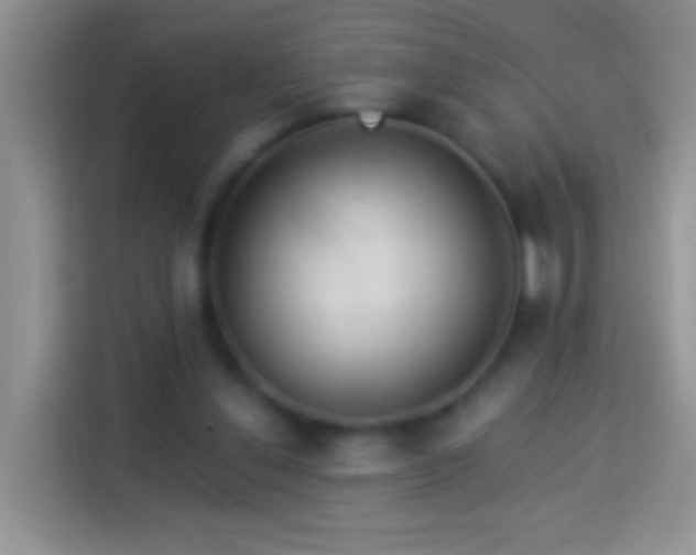 X0000113880252200910011138