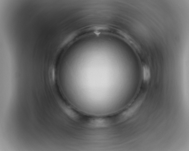 X0000113880253200910011138