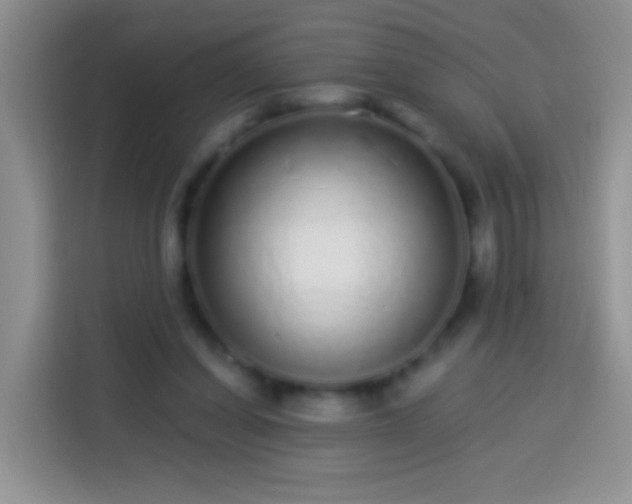 X0000113880254200910011138