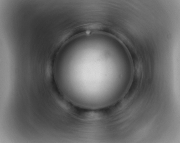 X0000113880255200910011138