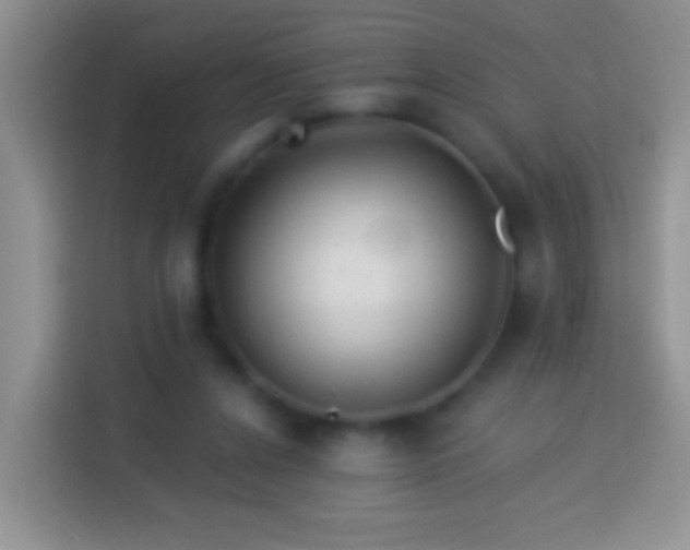 X0000113880256200910011138