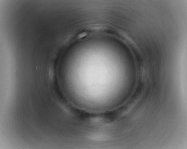 X0000113880259200910011138