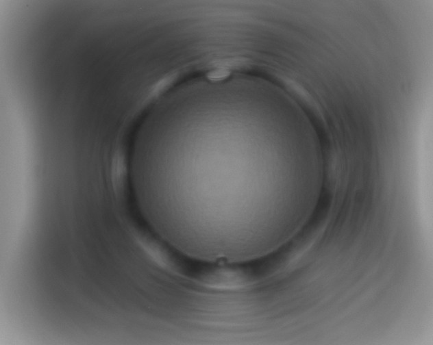 X0000113880260200910011138