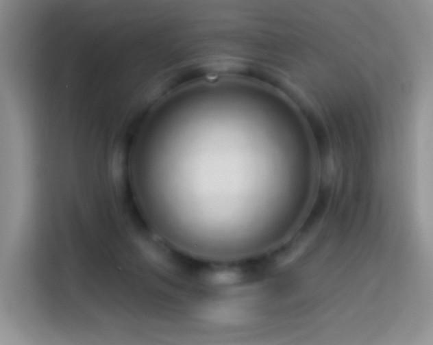 X0000113880263200910011138