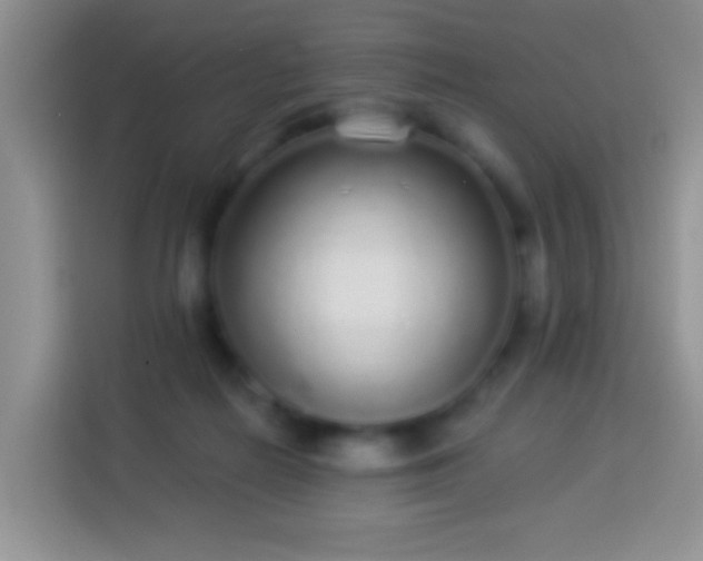 X0000113880266200910011138