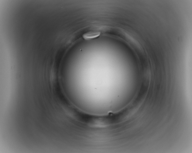 X0000113880268200910011138